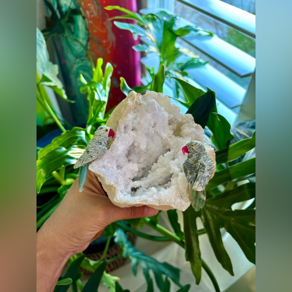 Parrot carvings on Quartz Geode